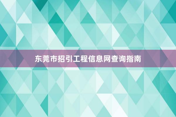 东莞市招引工程信息网查询指南