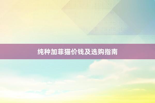 纯种加菲猫价钱及选购指南